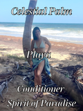 Conditioner, Playa - Spirit of Paradise