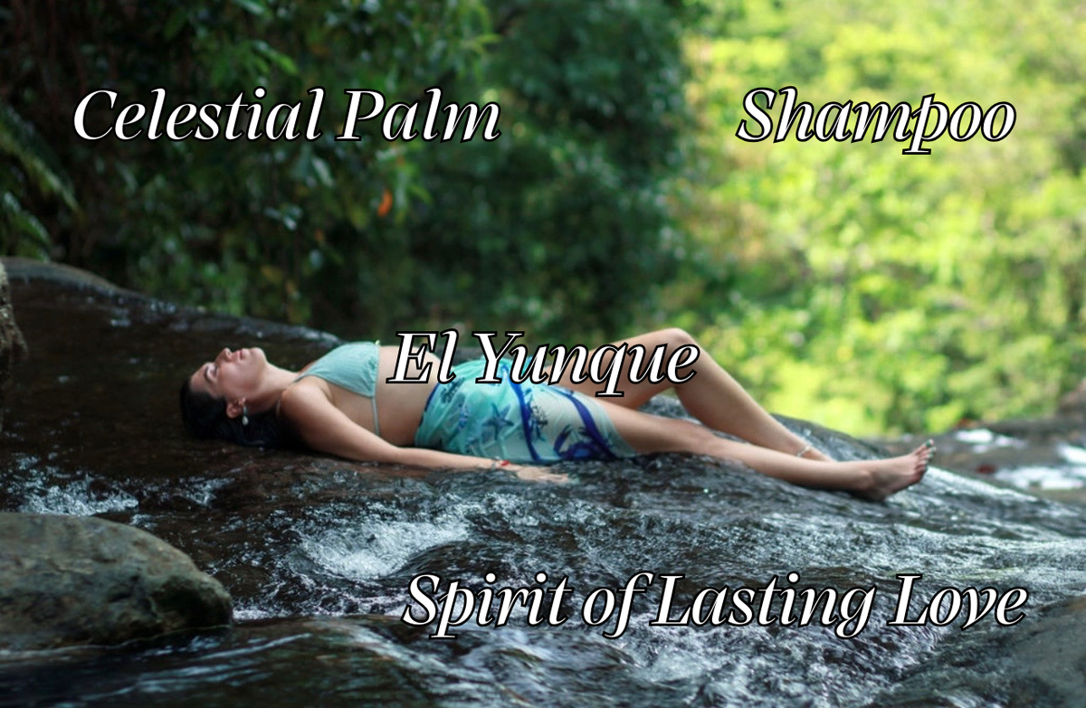 Shampoo, El Yunque - Spirit of Lasting Love